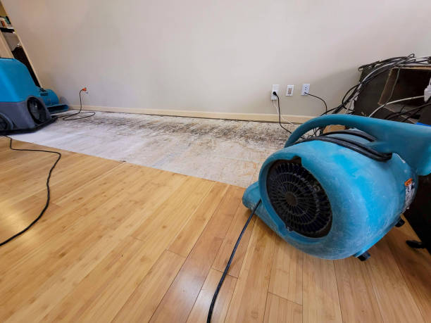 Professional Ceiling Water Damage Repair technician working in Middletown, IN